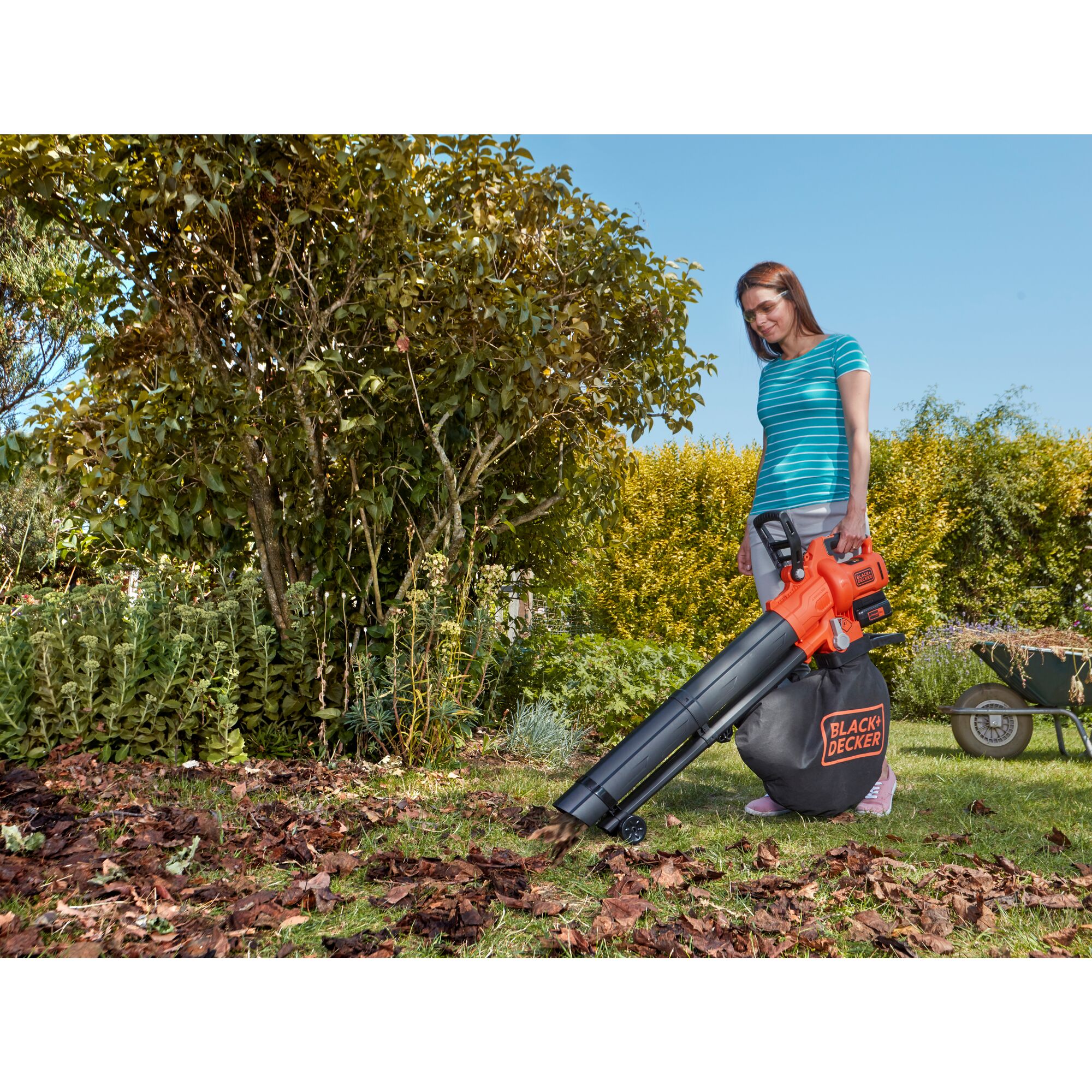 Black and deals decker cordless blower