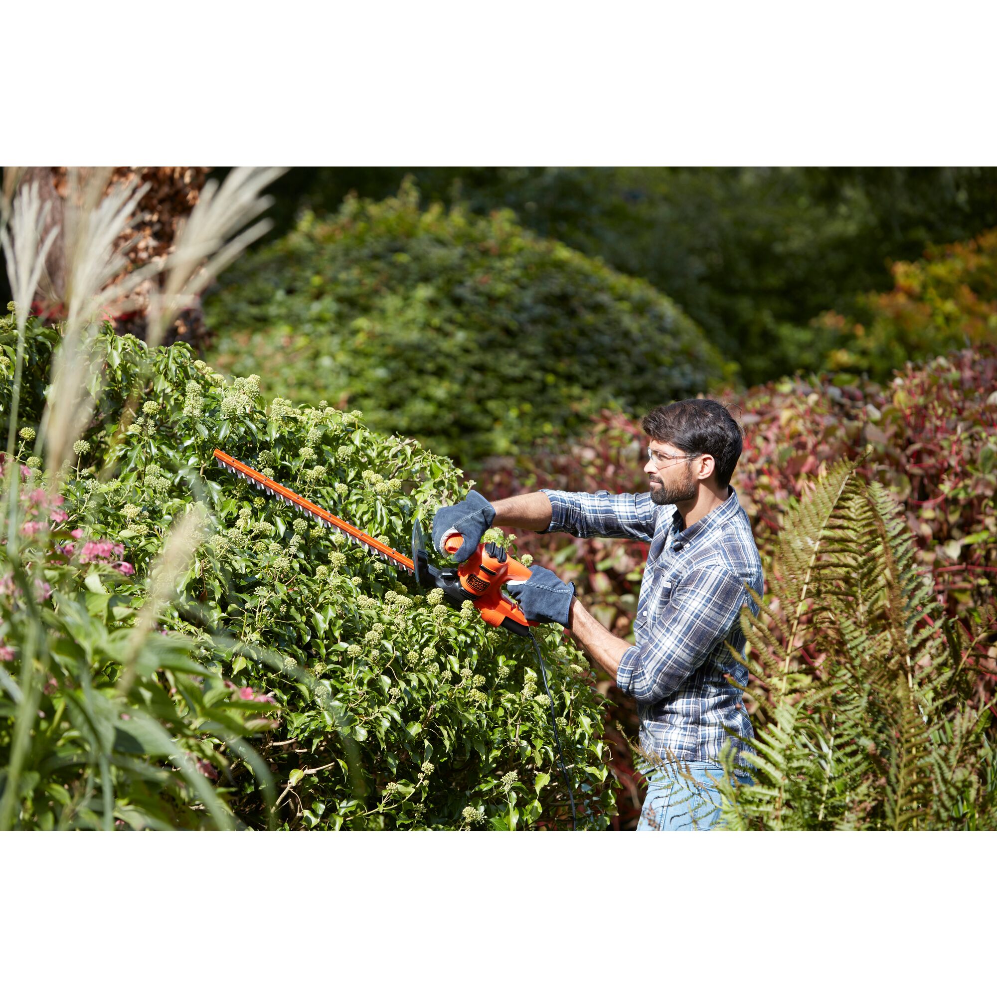 Strimmer on sale hedge trimmer